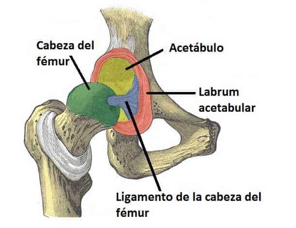 img_tratamiento