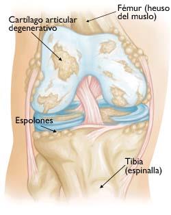 img_tratamiento